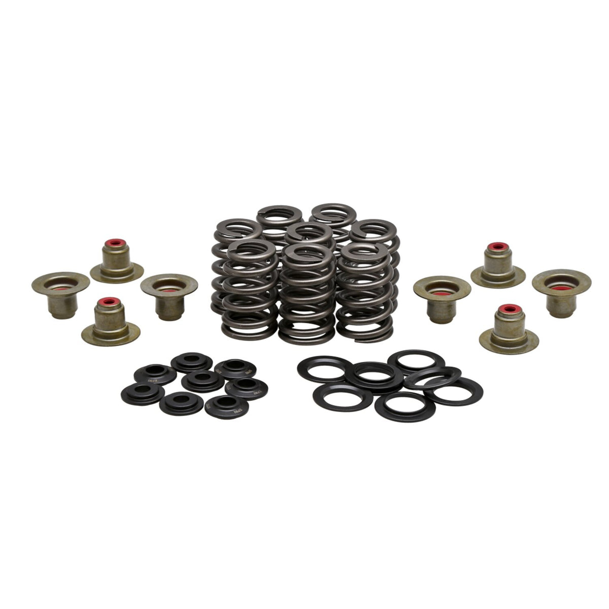 KPMI, .550" high lift valve spring kit. Steel