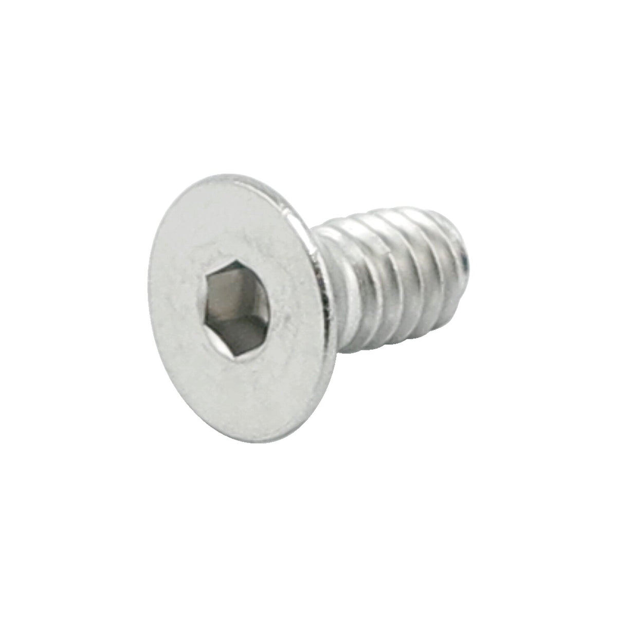 Colony flathead allen bolt 1/4-20 x 2", stainless steel