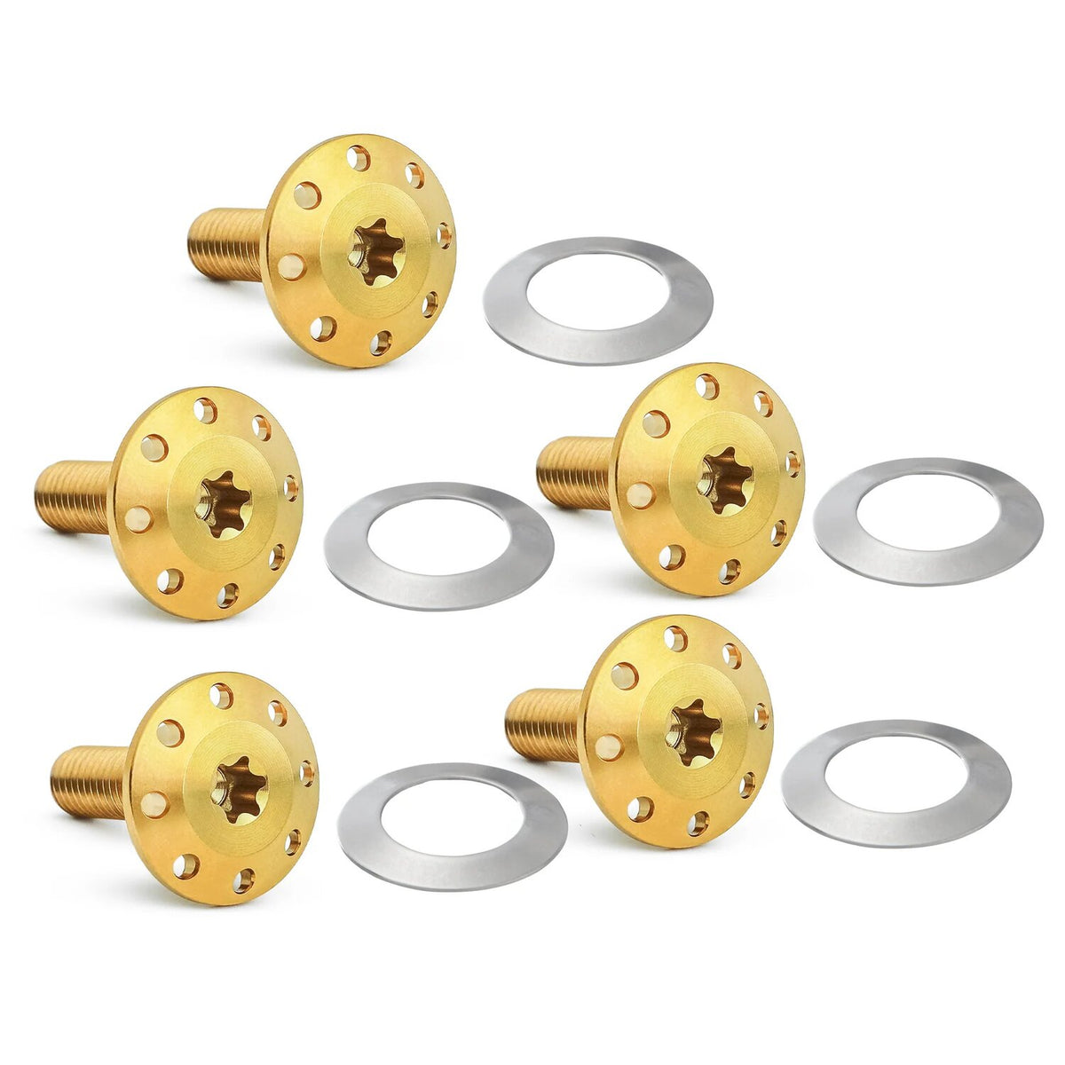 Arlen Ness, Titanium brake rotor bolt kit. Gold