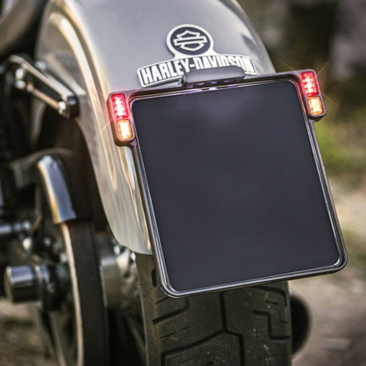 HeinzBikes, All-Inn 2.0 license plate bracket with taillight