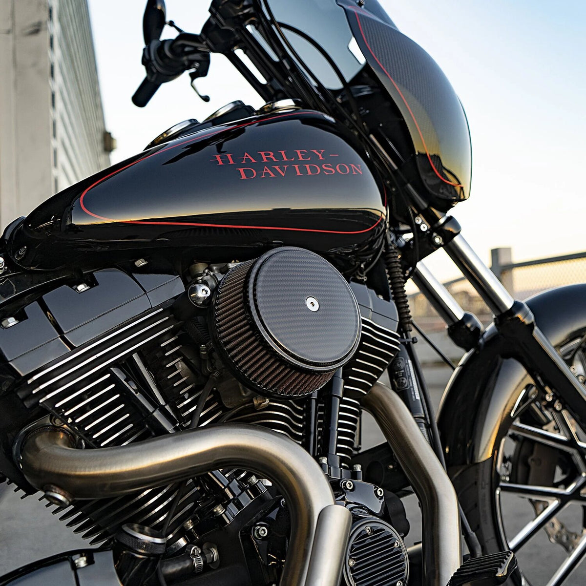 Arlen Ness, Stage 1 Big Sucker air cleaner kit. Carbon