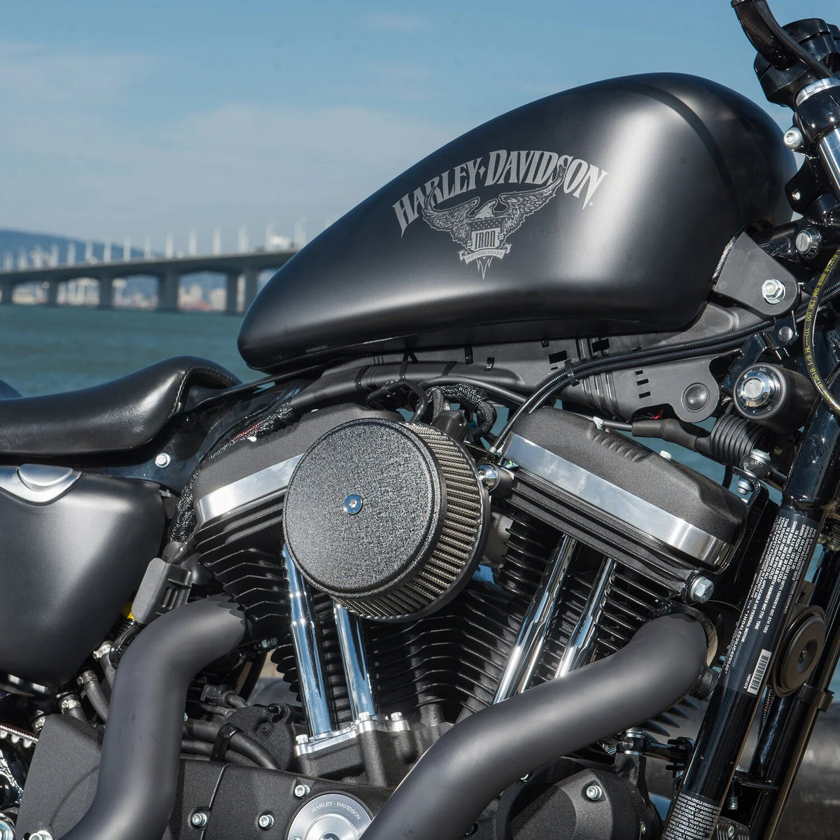 Arlen Ness, Stage 1 Big Sucker air cleaner. Smooth black