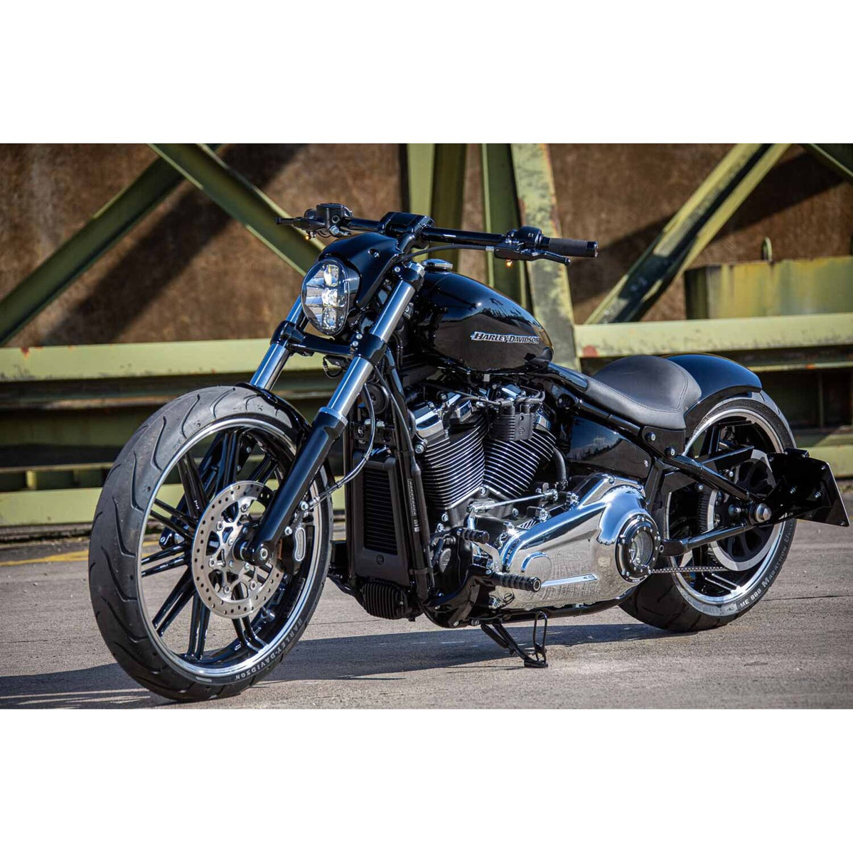 Rick's Motorcycles, rider foot pegs O-ring style. Polished