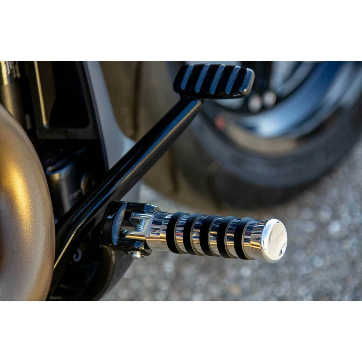 Rick's Motorcycles, rider foot pegs O-ring style. Polished