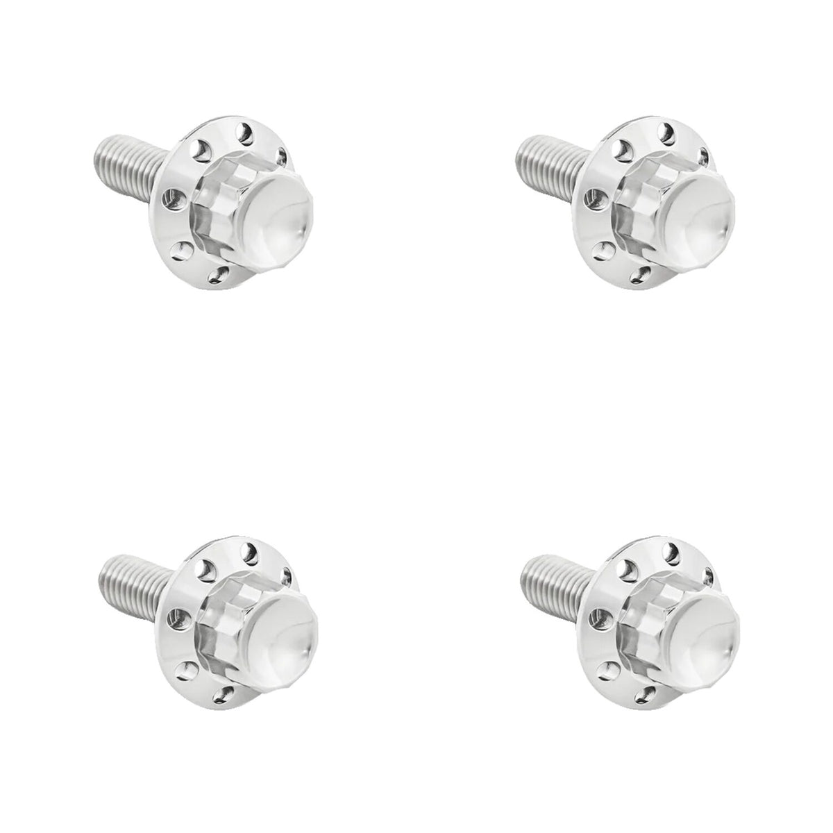Arlen Ness, titanium 12-point windshield bolt kit. Polished