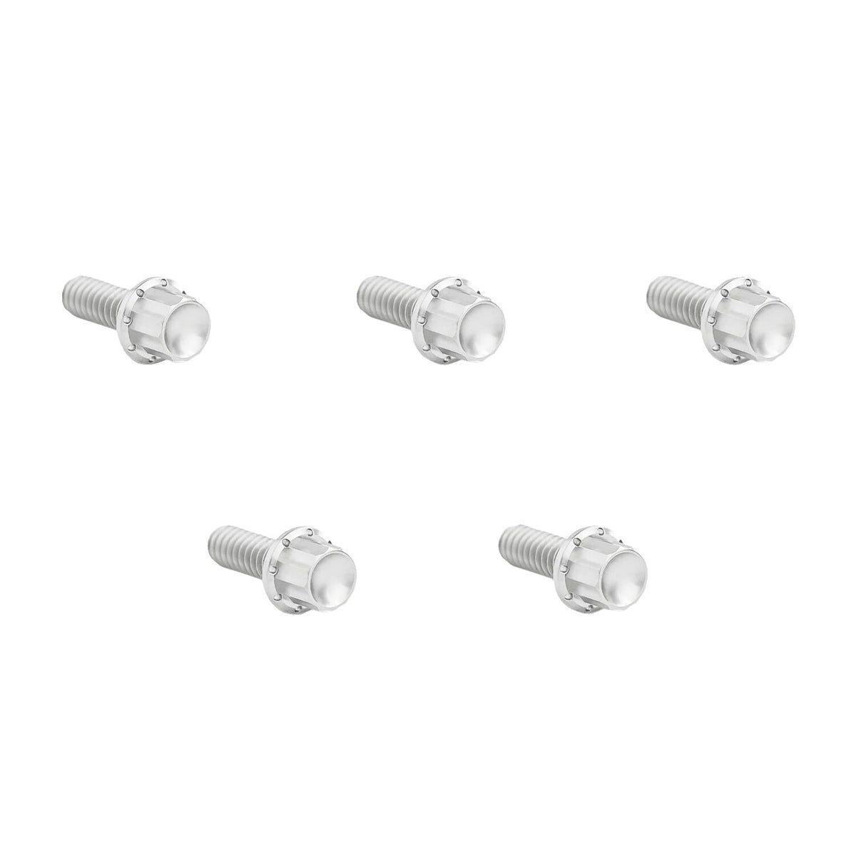 Arlen Ness, titanium 12-point derby cover bolt kit. Polished