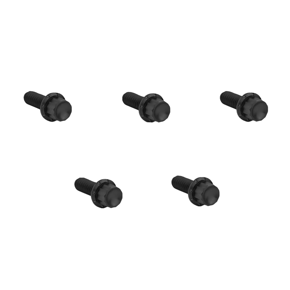 Arlen Ness, titanium 12-point derby cover bolt kit. Black