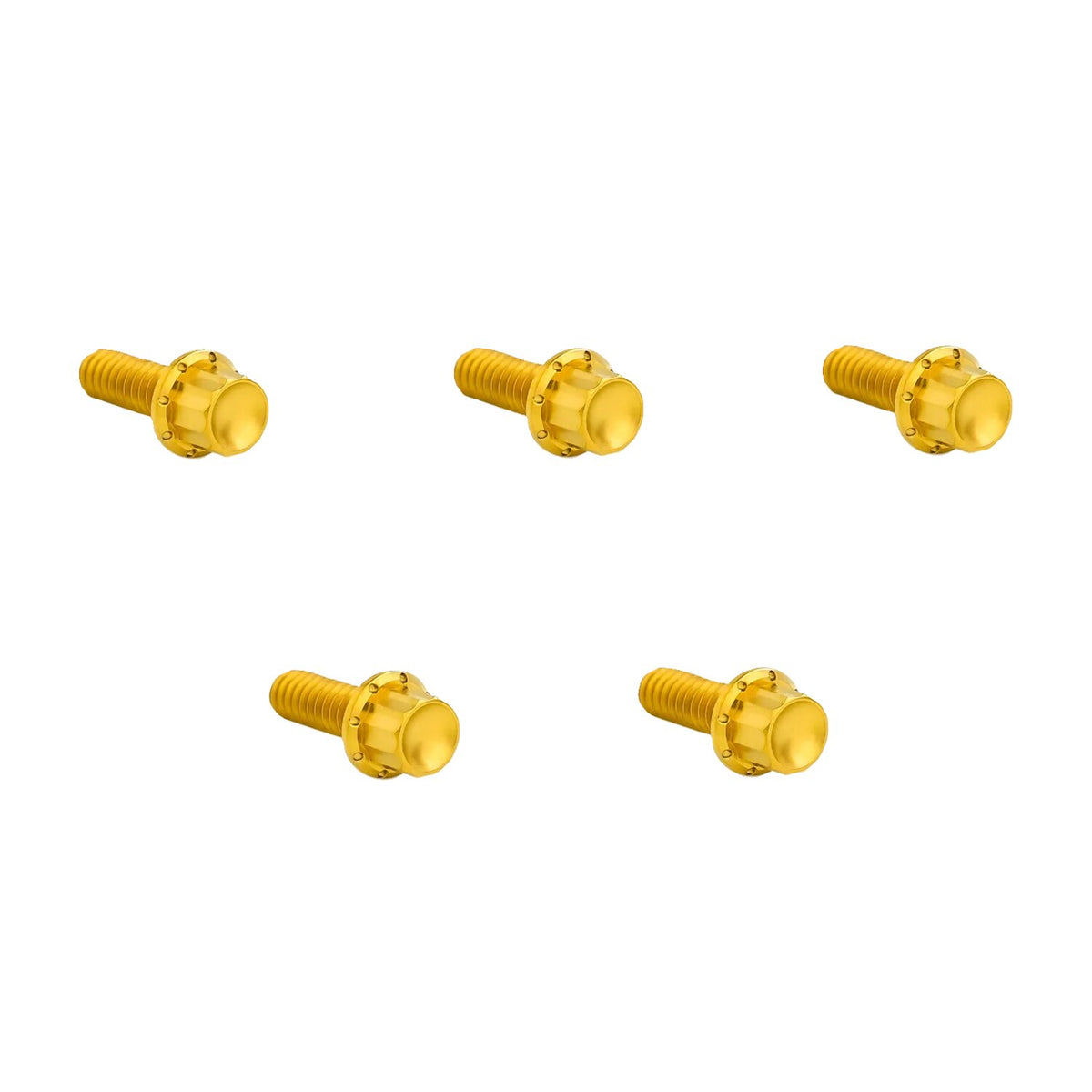 Arlen Ness, titanium 12-point derby cover bolt kit. Gold