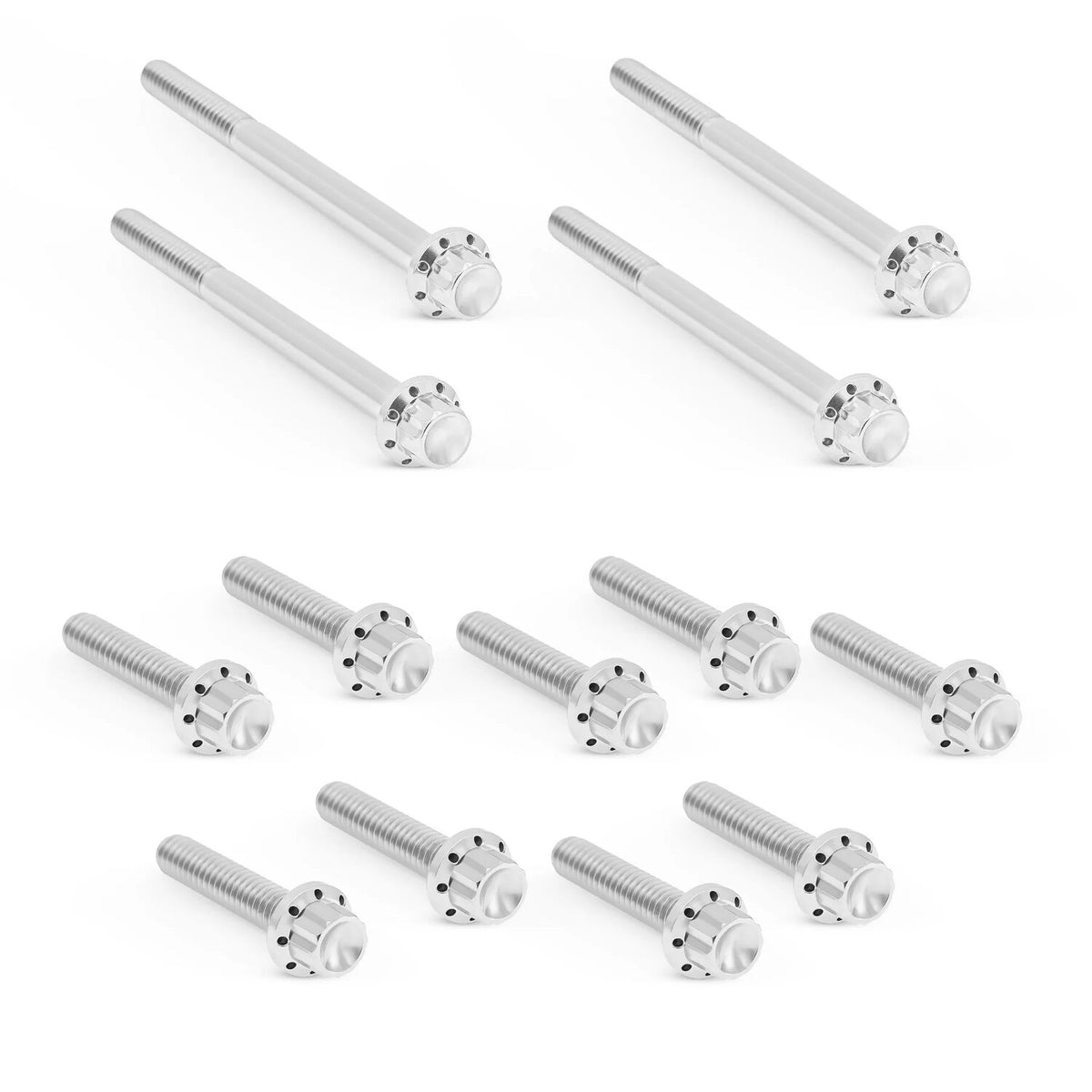 Arlen Ness, Titanium 12pt Primary Cover Bolt Kits. Polish