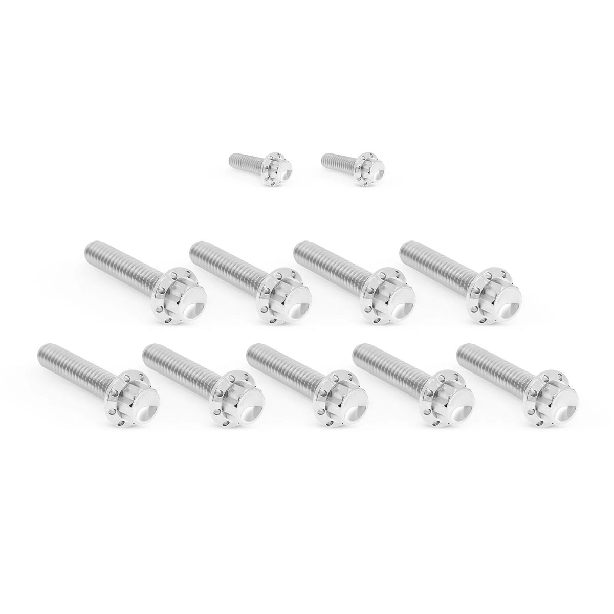 Arlen Ness, titanium 12-point cam/point cover bolt kit. Pol.