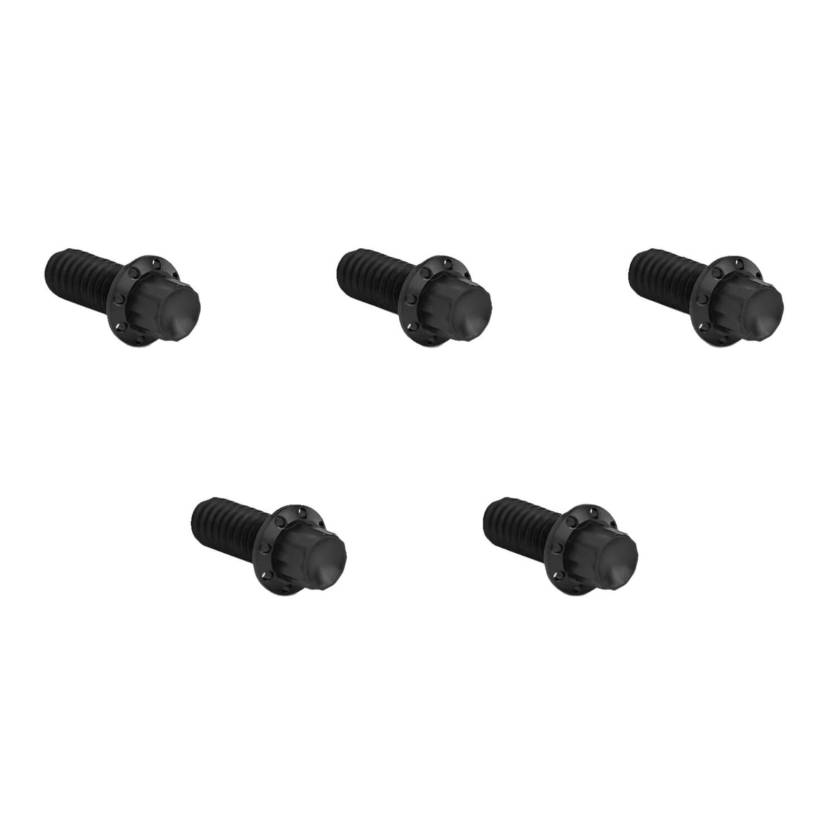 Arlen Ness, titanium 12-point derby cover bolt kit. Black