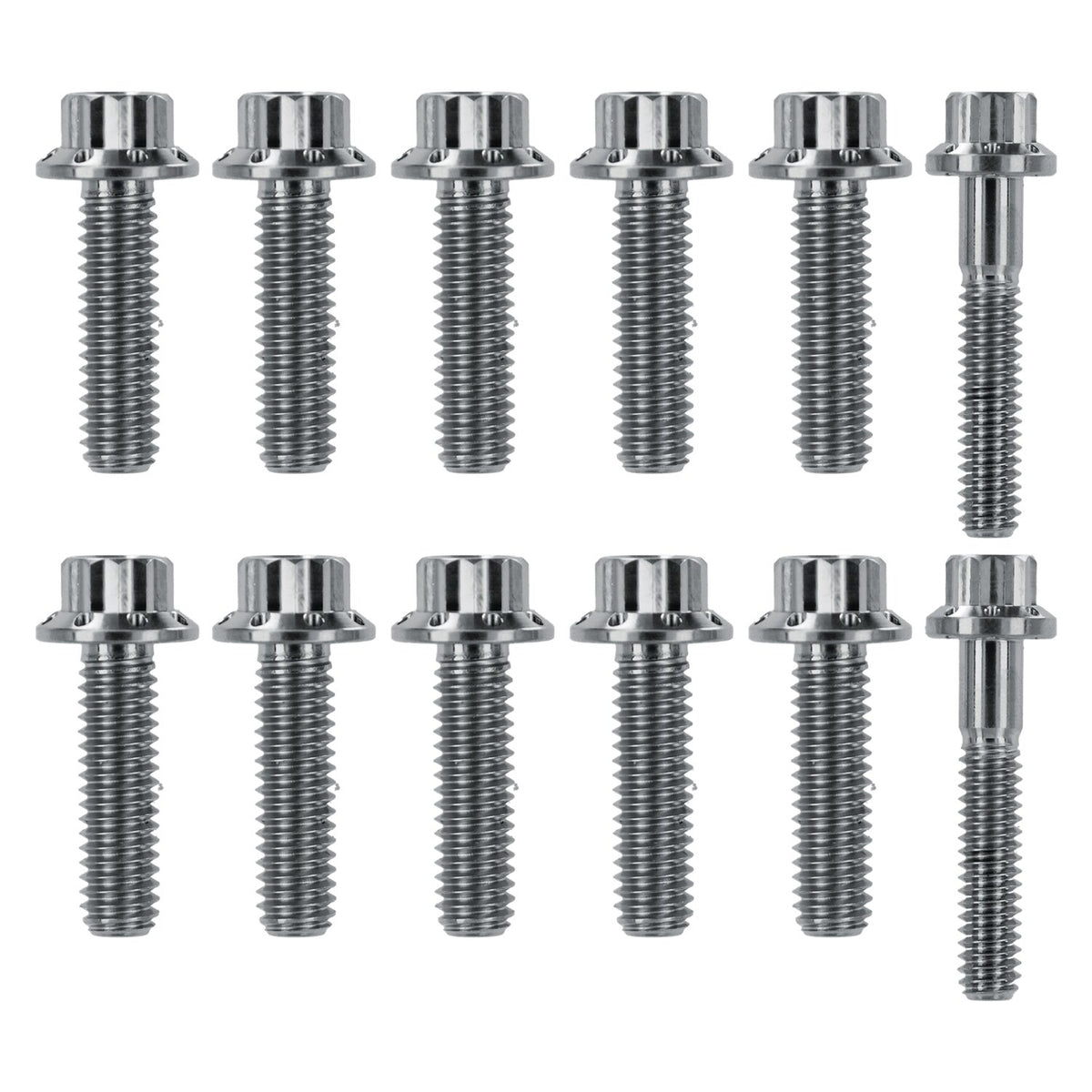 Arlen Ness, transm. side cover & trap door 12-point bolt kit