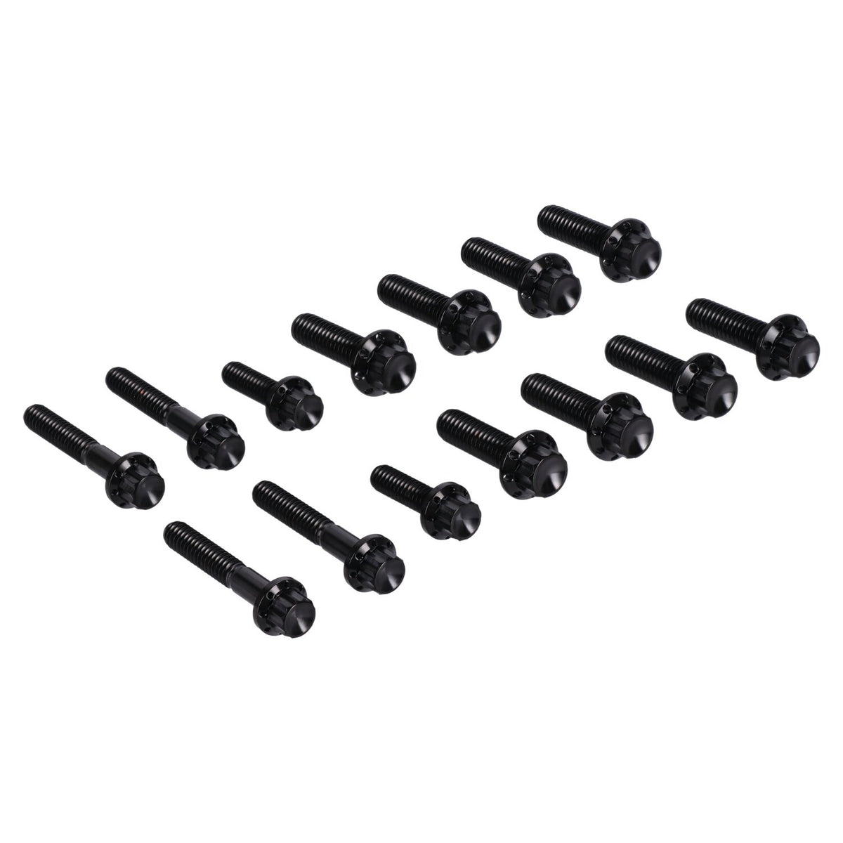 Arlen Ness, transm. side cover & trap door 12-point bolt kit