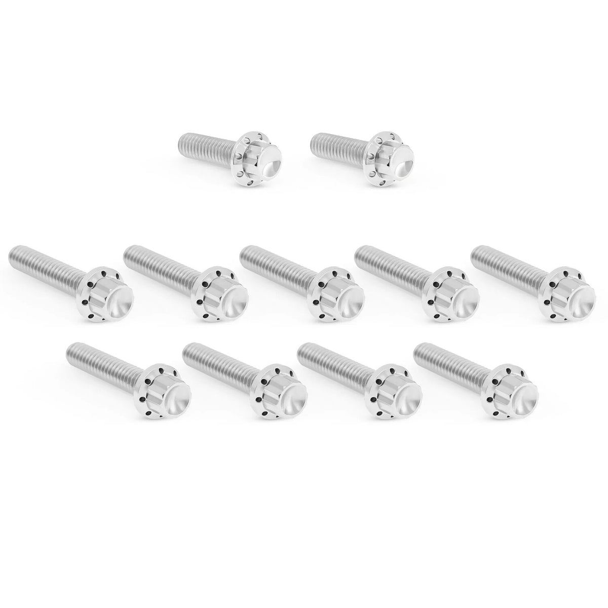Arlen Ness, titanium 12-point cam/point cover bolt kit. Pol.