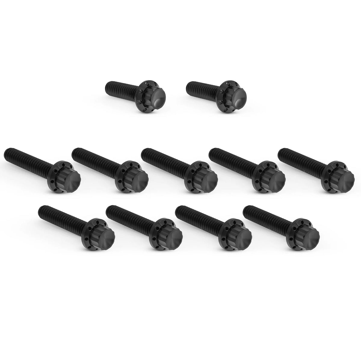 Arlen Ness, titanium 12-point cam/point cover bolt kit.Black