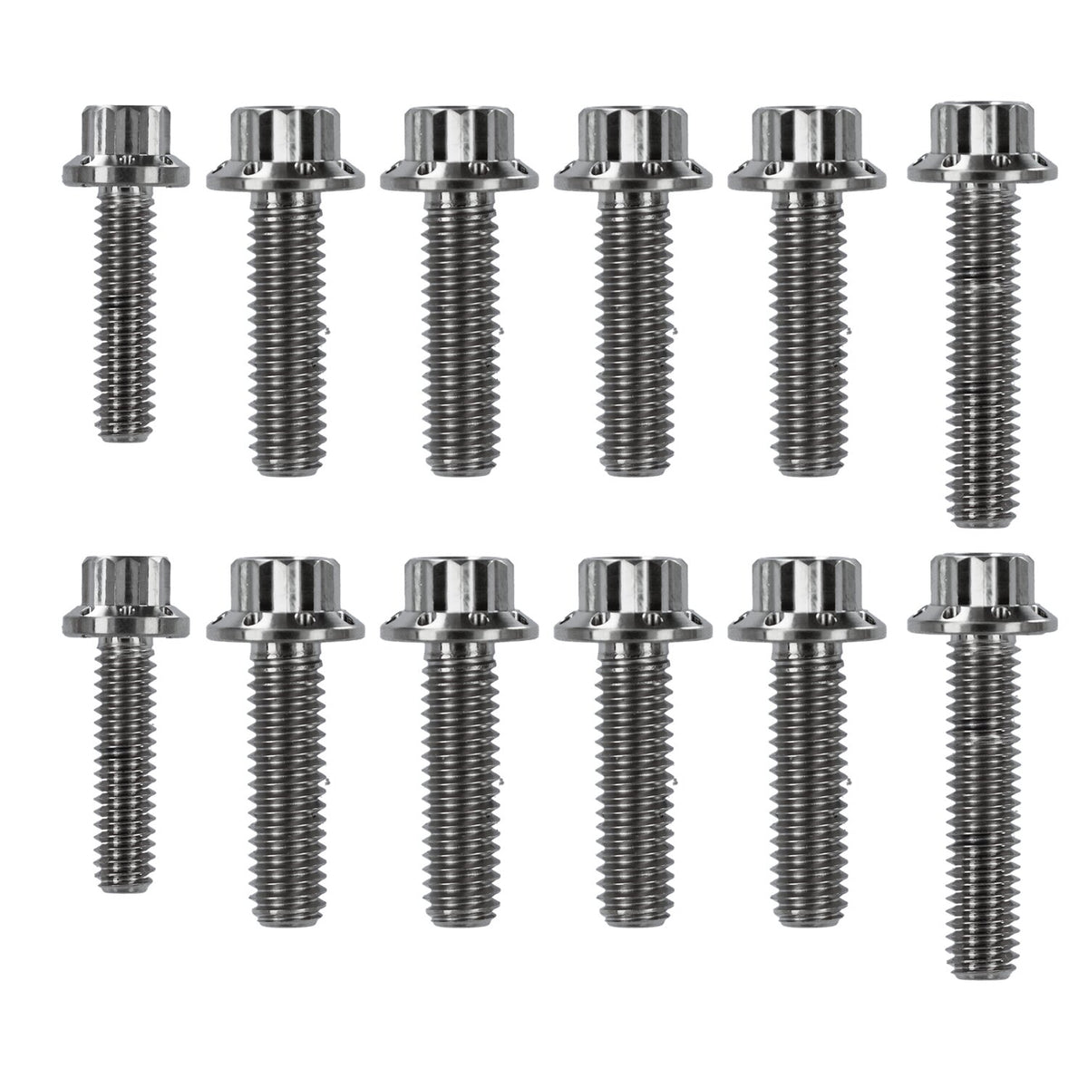 Arlen Ness, transm. side cover & trap door 12-point bolt kit
