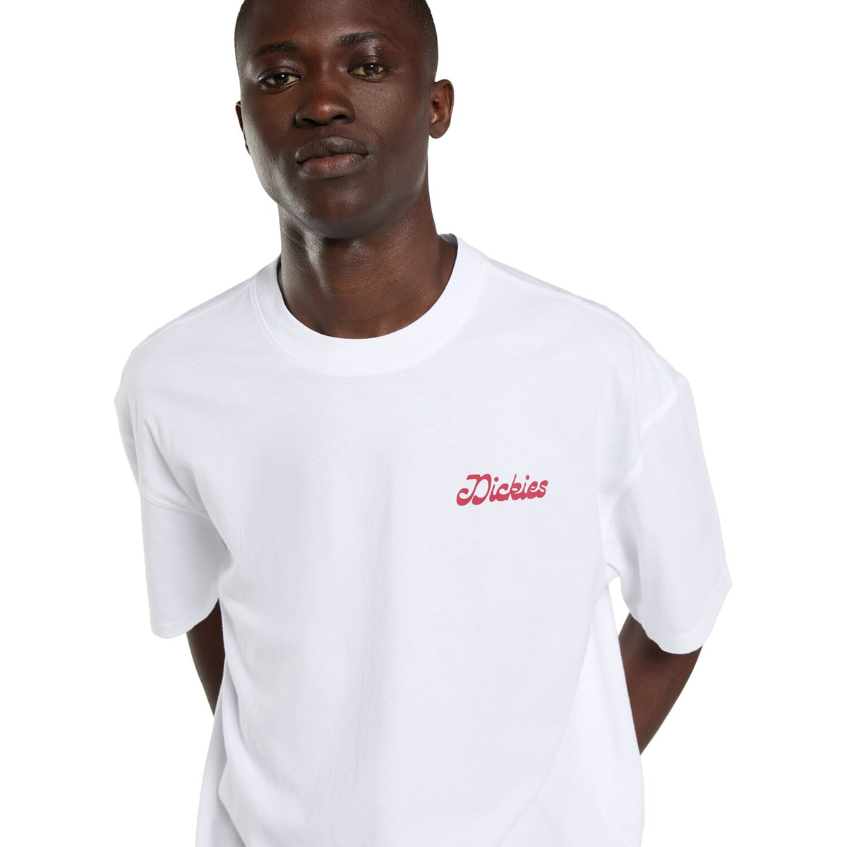 Dickies Cornville t-shirt white