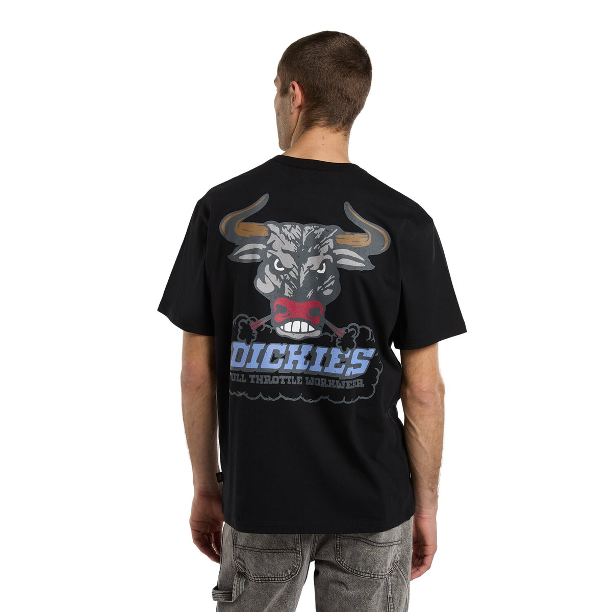 Dickies Lakeridge t-shirt black