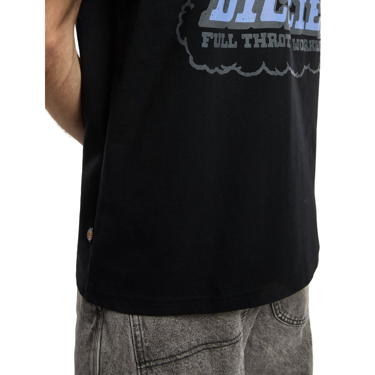 Dickies Lakeridge t-shirt black