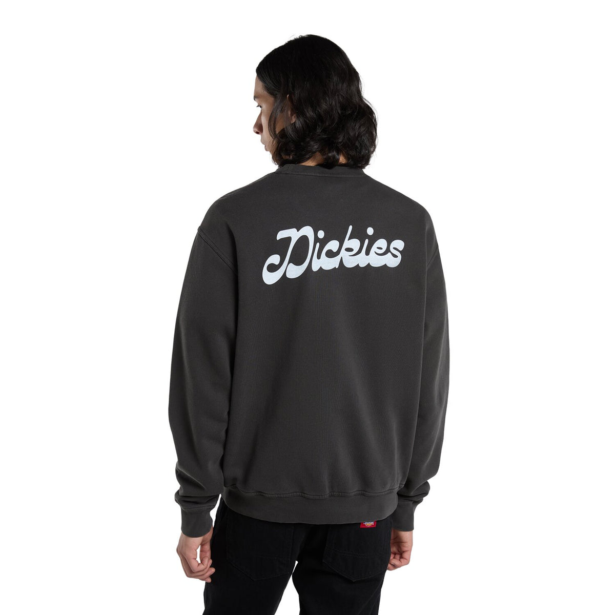 Dickies Cornville sweatshirt black