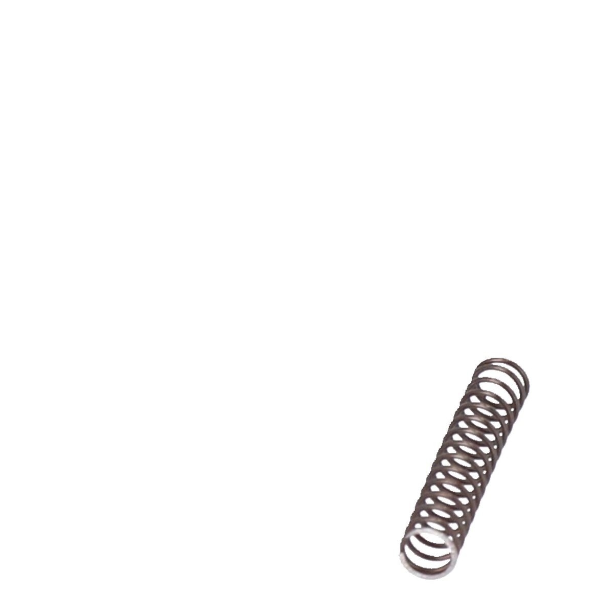 Spring, shifter pawl