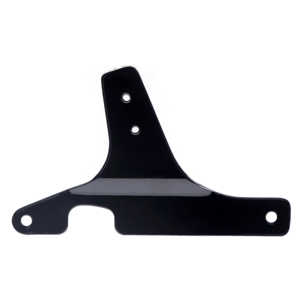 Sissybar side plates rigid mount