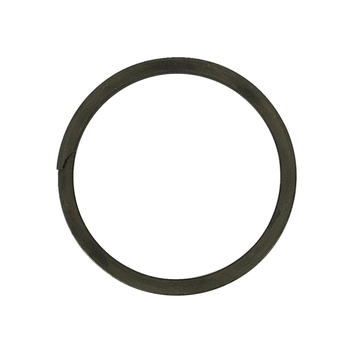 Retaining ring, shifter cam