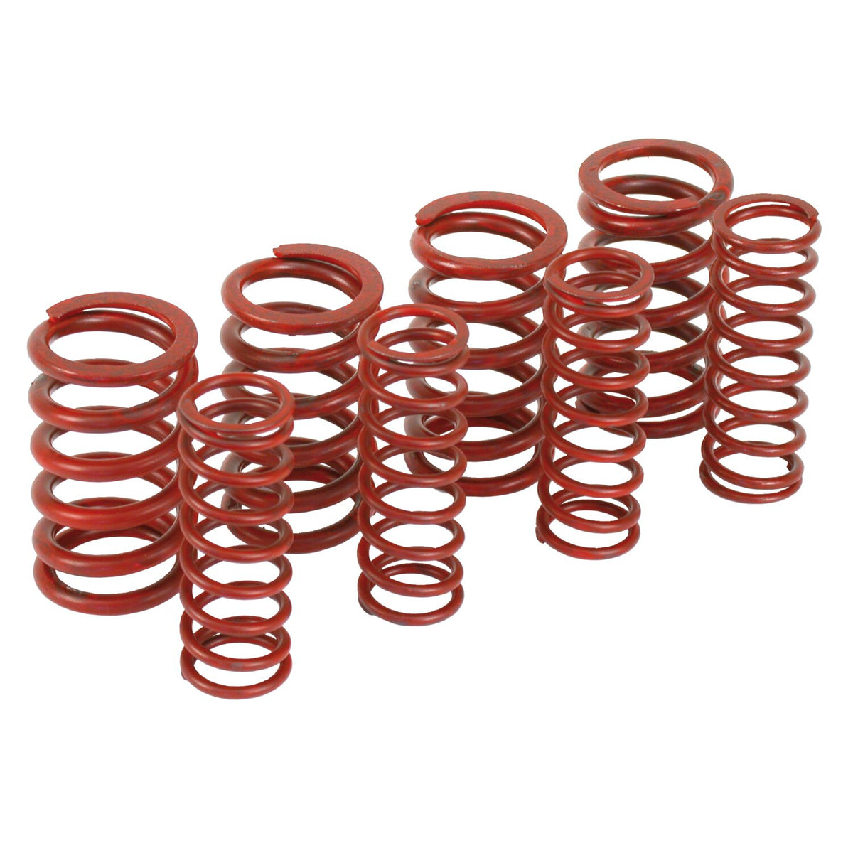 Andrews, high performance spring set .560" lift