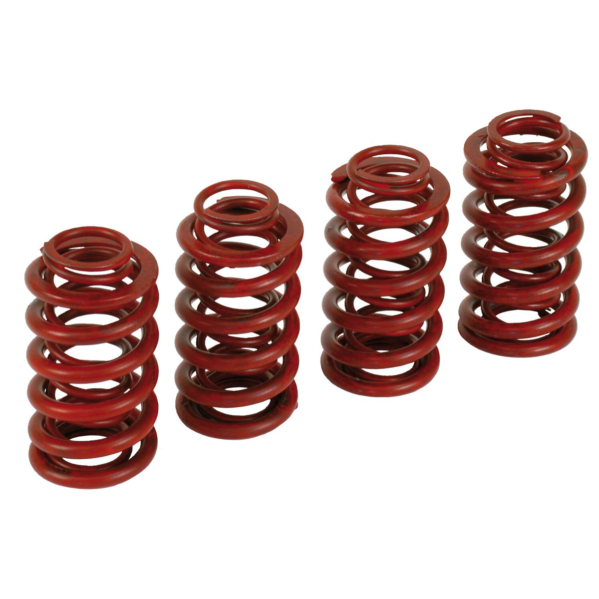 Andrews, high performance spring set .560" lift