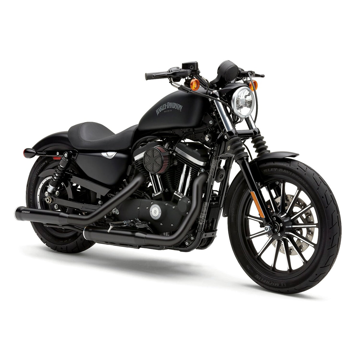 Cobra, head pipe heat shields
