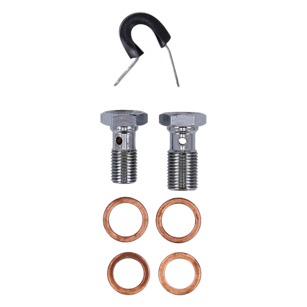 MCS by Goodridge brake line front, stainless clear coated