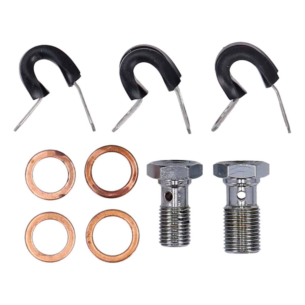 MCS by Goodridge brake line front, stainless clear coated