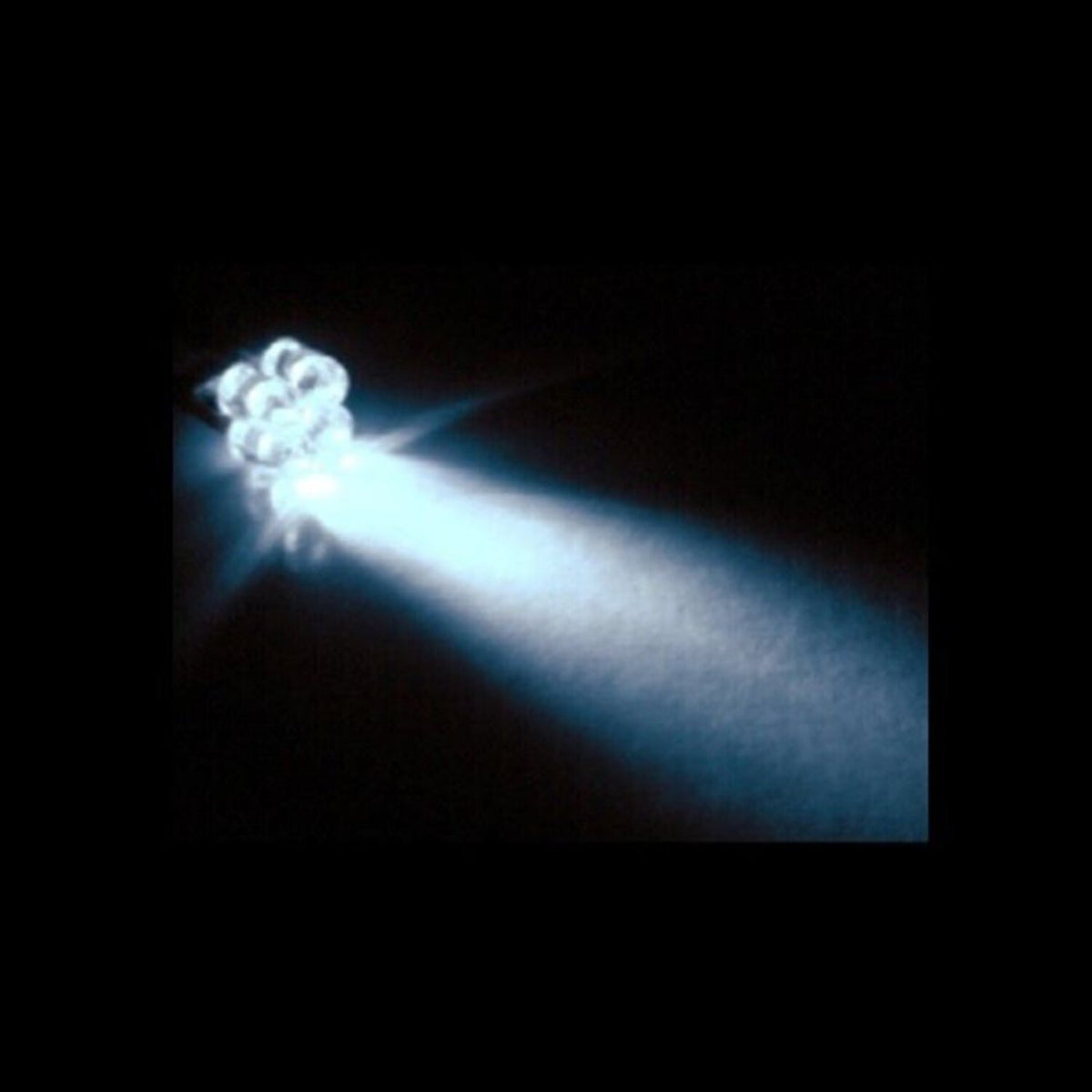 Custom Dynamics, 194 LED Bulb - white light
