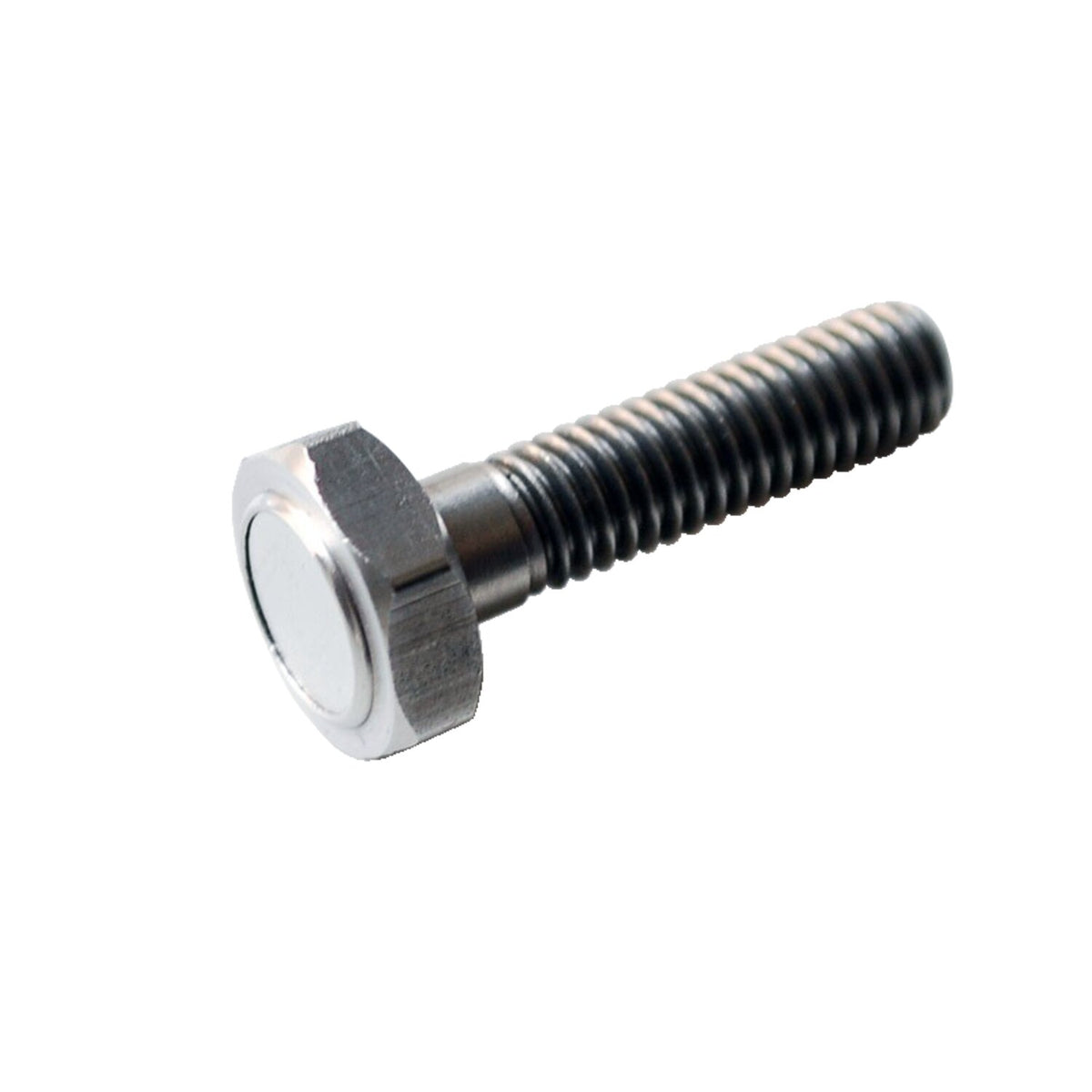 Motogadget, magnet bolt M6