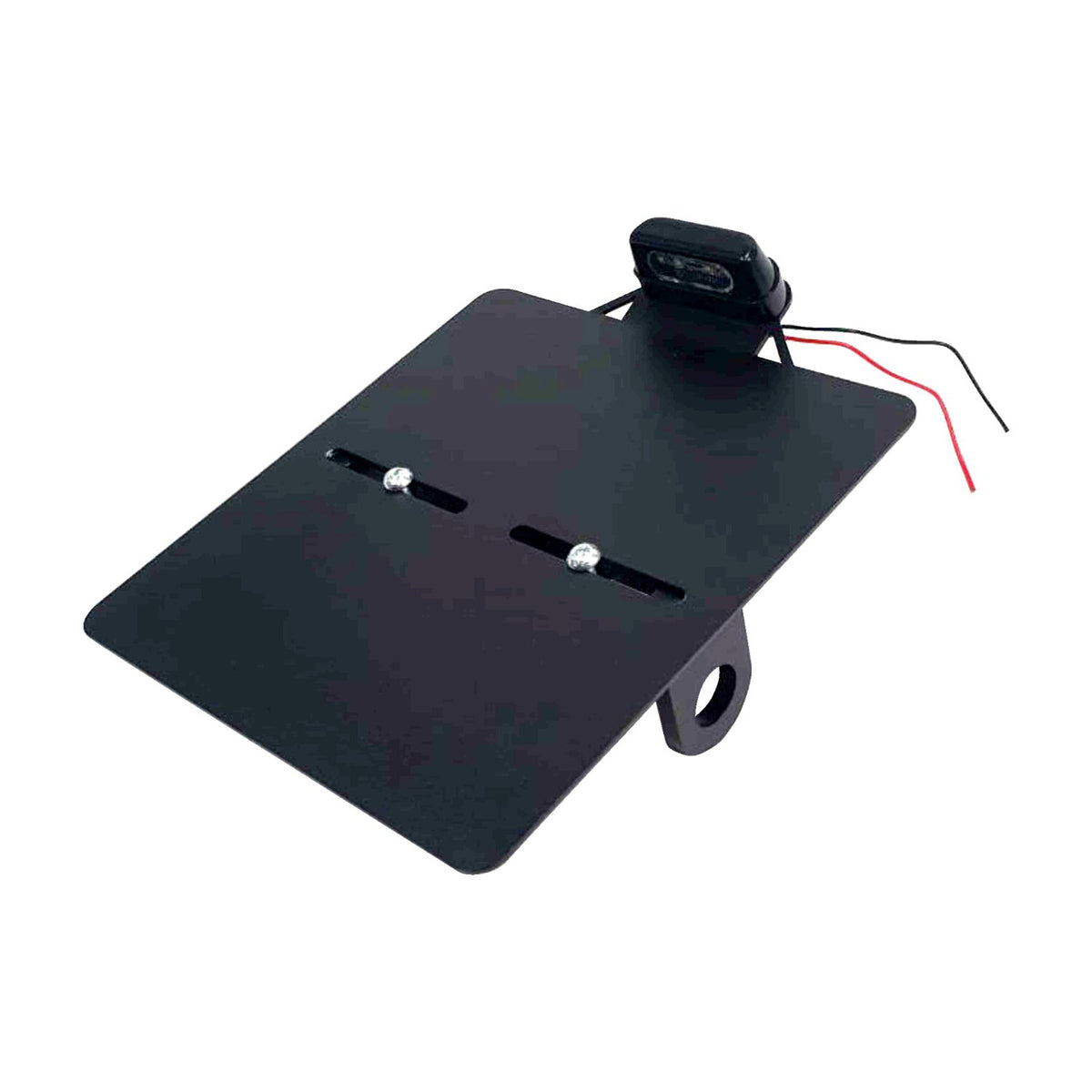 Westland Customs, side mount license plate bracket Germany