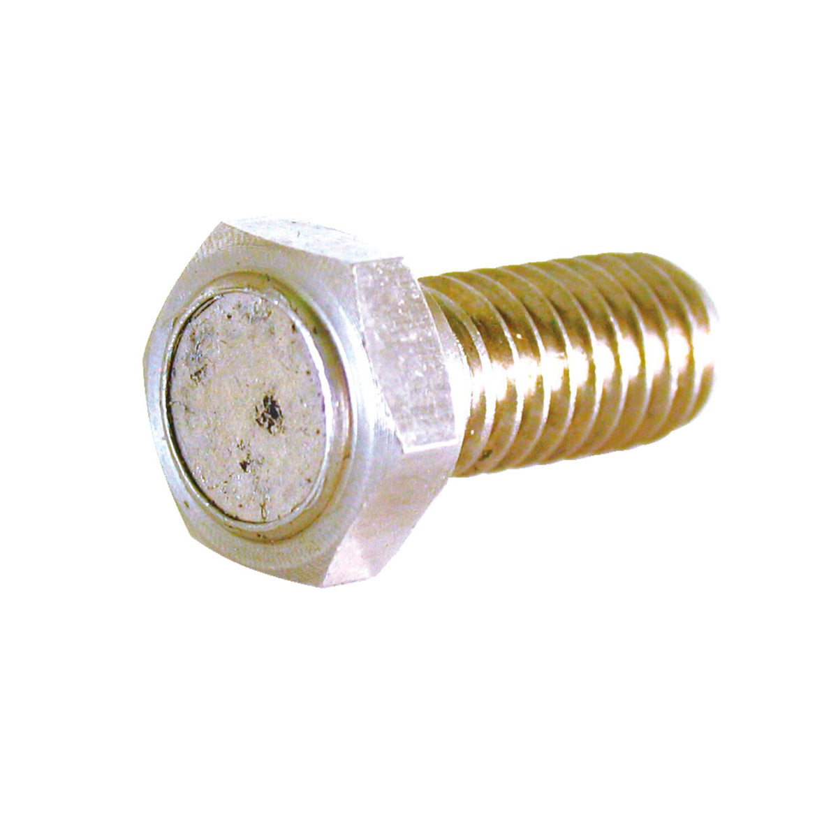 KOSO, speedo sensor magnet bolt. M6 x 1.0 x 12.6mm