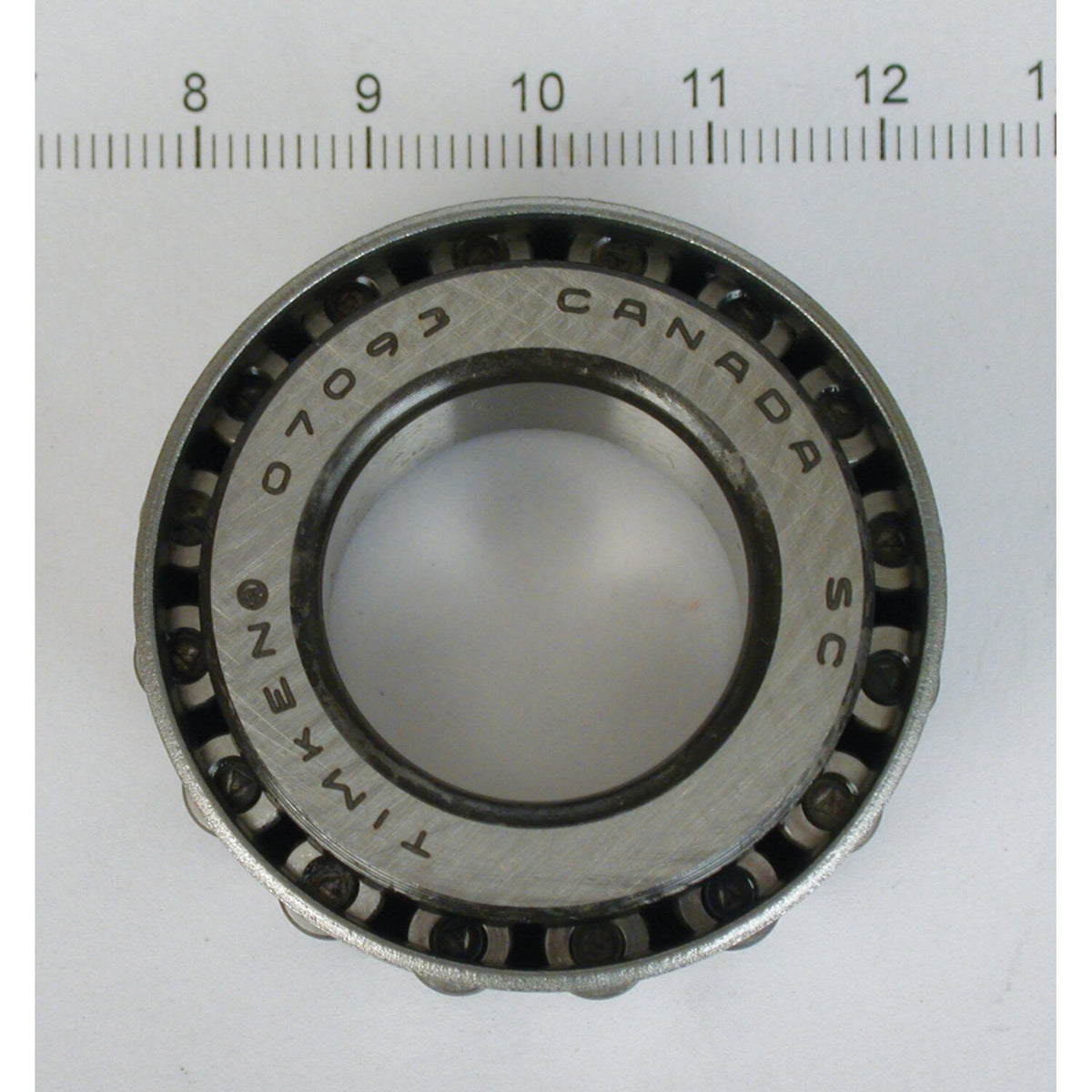 Frame cup bearing. XL Sportster