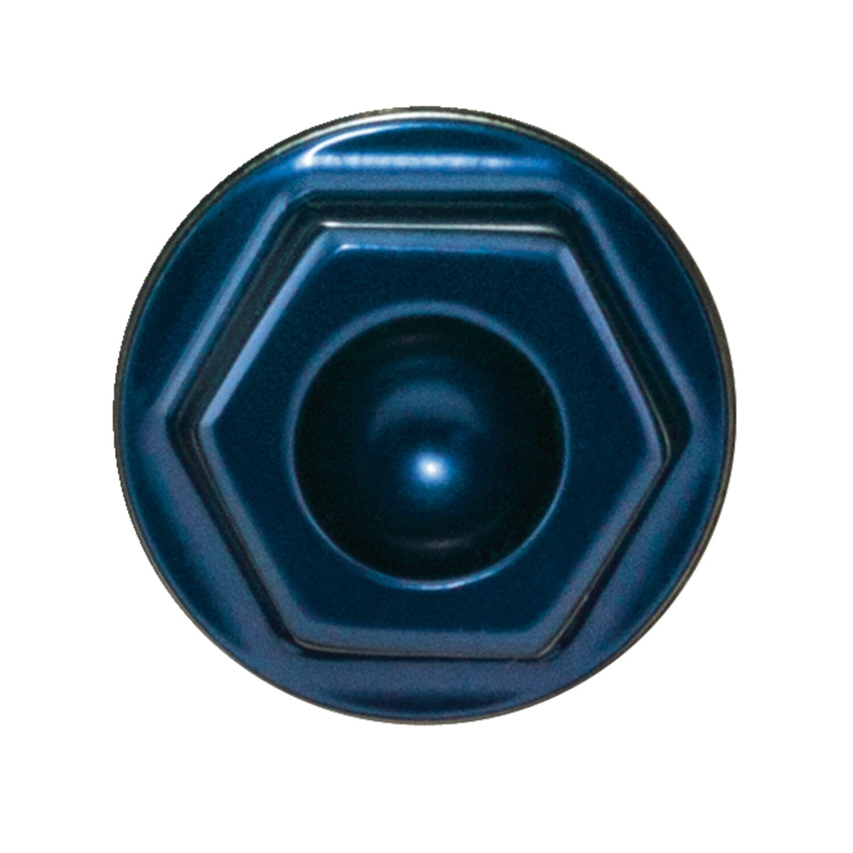 PM, Center bolt for vintage 4-p calipers. Blue