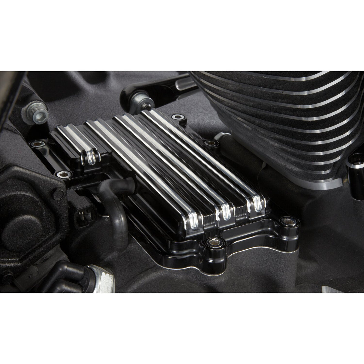 Arlen Ness, 10-gauge transm. top cover