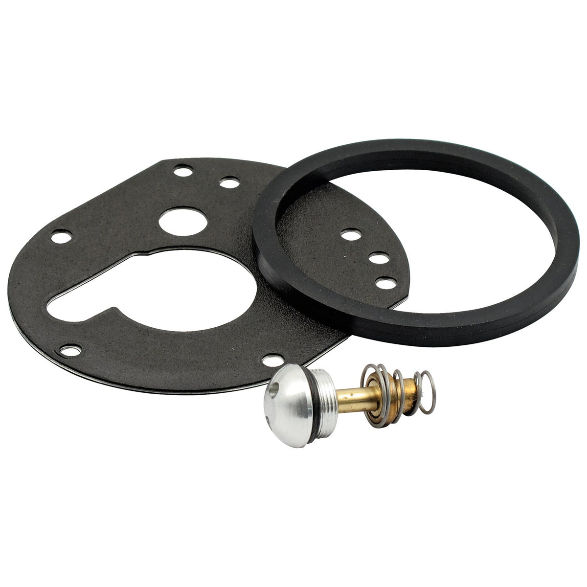 Jagg, replacement thermostat kit