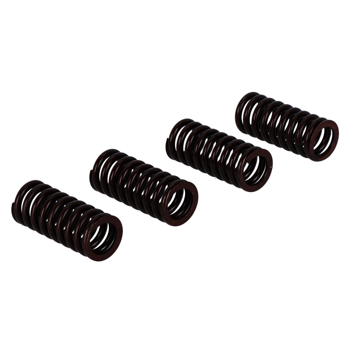 Valve spring set