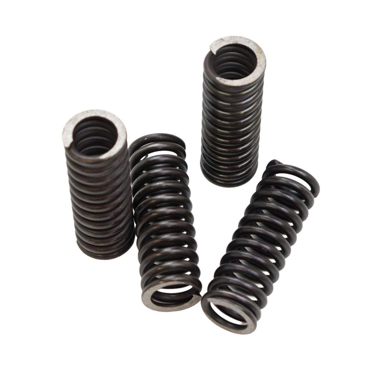 Valve spring set