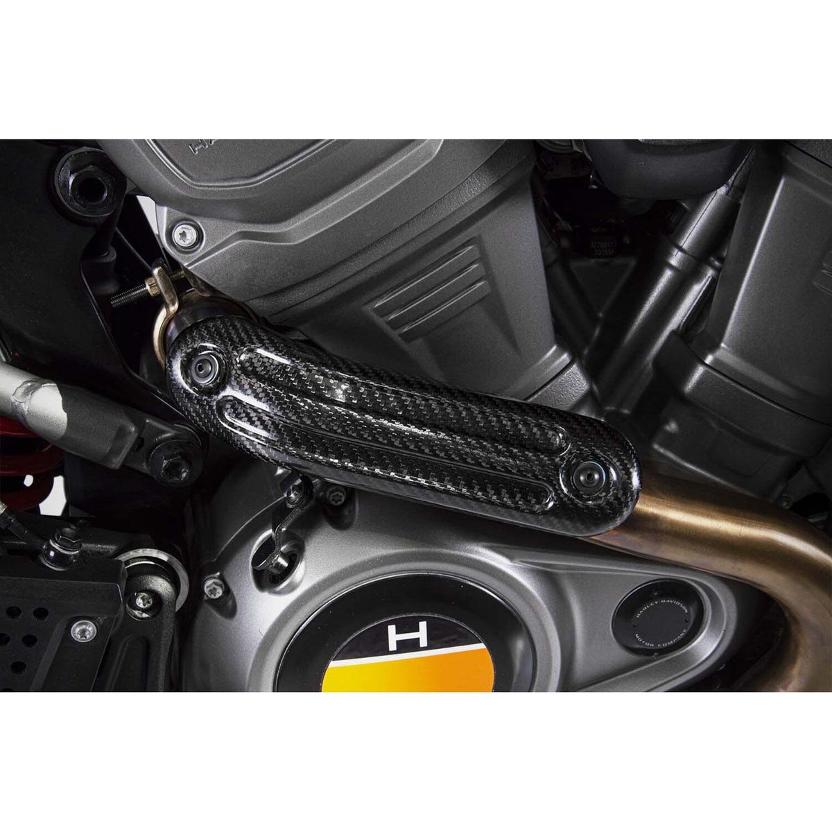 Zard, Pan America carbon heat shield