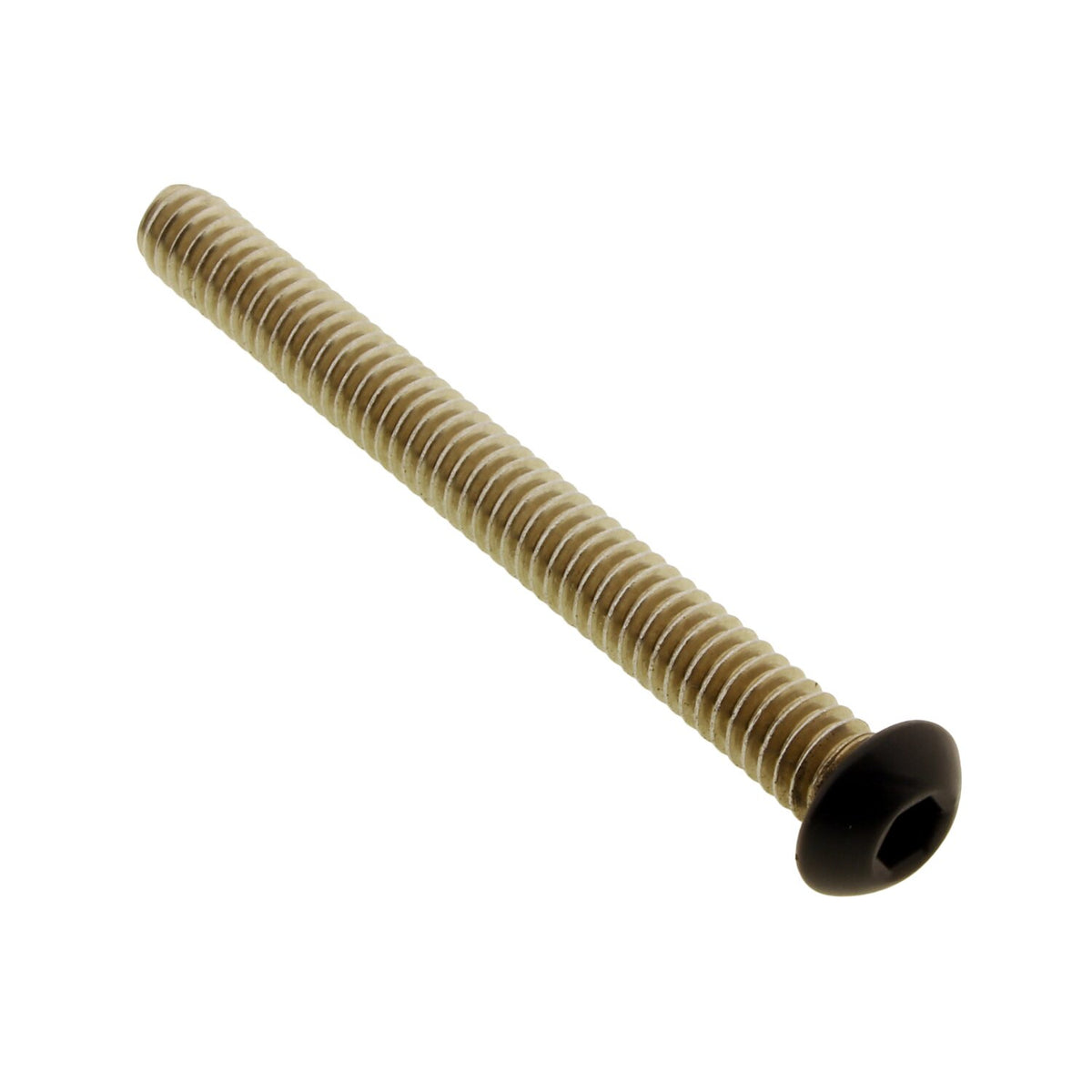 Screws4Bikes, bolt kit, Electronic Control Modul (ECM/ECU)