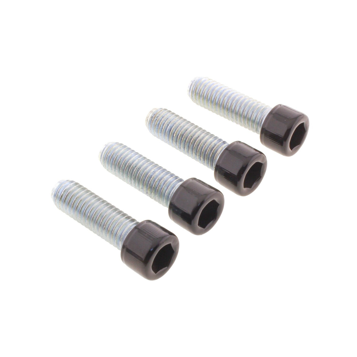Screws4Bikes, bolt kit, foot pegs rider