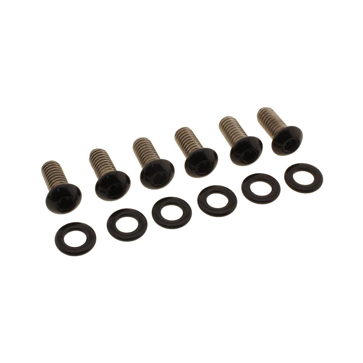 Screws4Bikes, bolt kit, derby cover