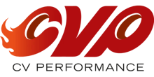 CV PERFORMANCE
