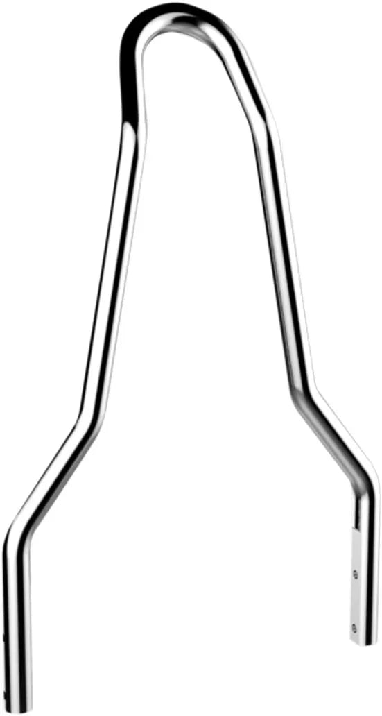 Drag Specialties round sissy bar — rear view